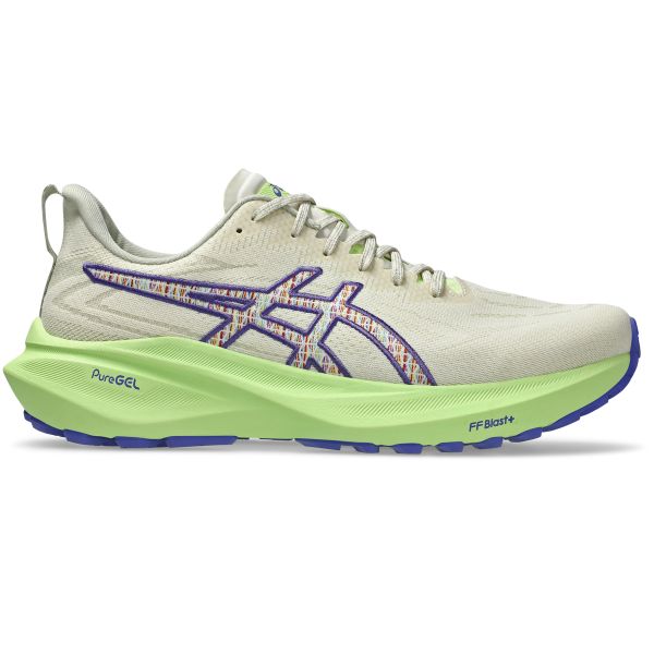 Asics Gt-2000 13 Men's Running Shoes 1011C042-300